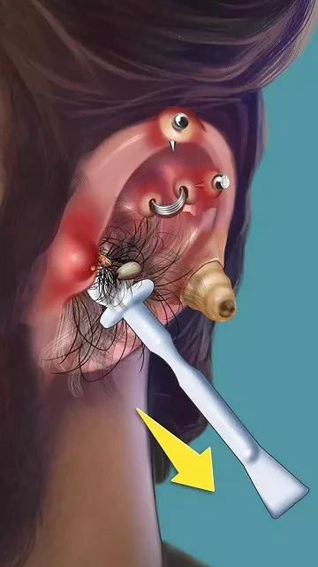 ASMR����ˮ�Ƹ���