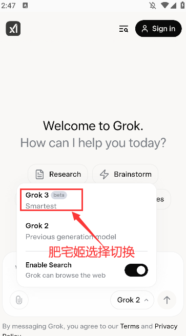 Grok3Ѱװֻ