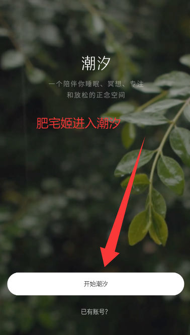 ϫ˯appٷذװ
