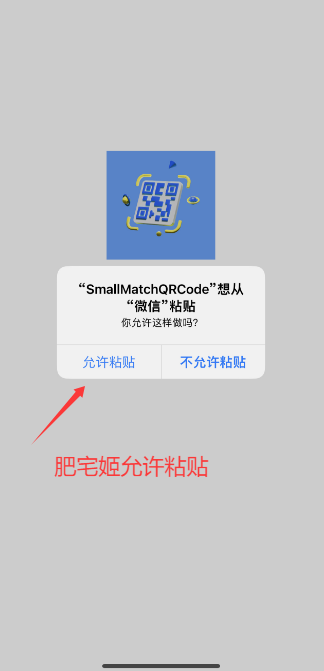 SmallMatchQRCodeiOSαװӰv1.1 ƻͼ0