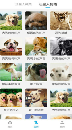 宠物翻译器下载手机版v2.0.0 最新版截图3