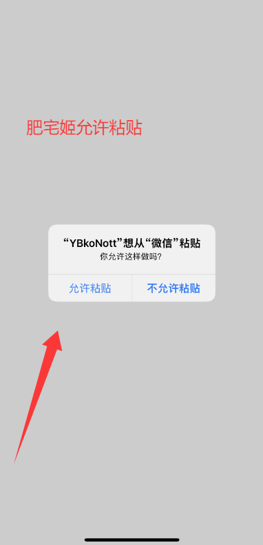 YBkoNottӰiOSαװӰv1.1 ƻͼ0