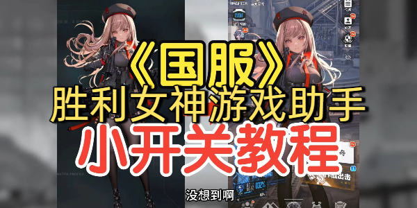 胜利女神游戏助手