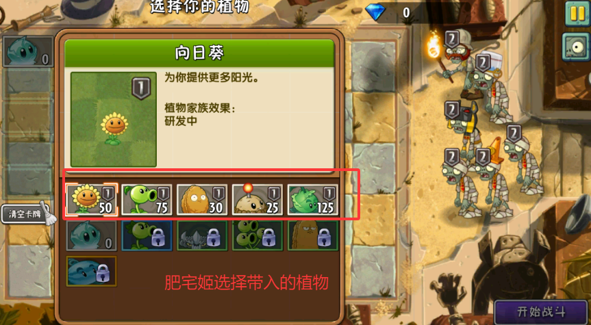 PVZ2ʱʿ