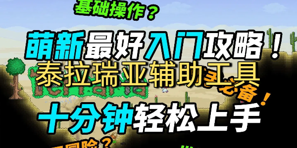 ̩Ǹ
