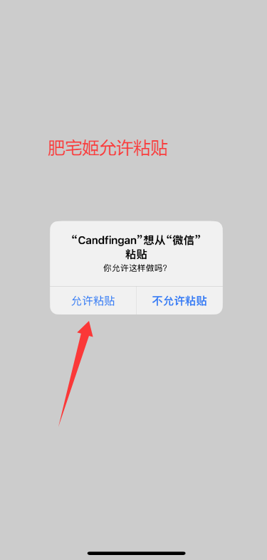 CandfinganiOSӰiOSαװӰv1.1 ƻͼ0
