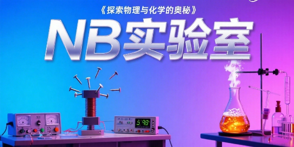 NBʵ