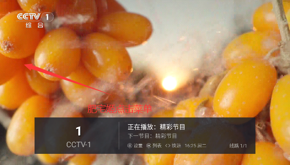 ƵTV氲װv1.0.3 Ѱͼ3