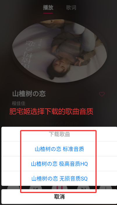 ϹappѰ汾