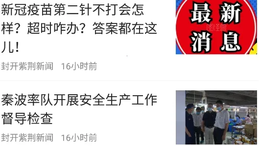 紫荆新闻 紫荆新闻