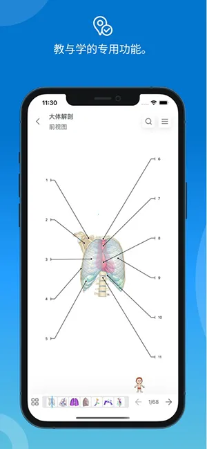 eAnatomy��׿���ֻ���