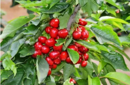 ӣ��ҽ��2026���ذ�װ