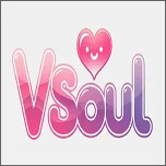 vsoul΢��v3.0.1 ��׿��