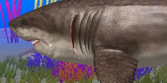 巨齿鲨模拟器 巨齿鲨模拟器