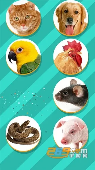 ���﷭����ȫ������v6.2.369 ��׿���ͼ2