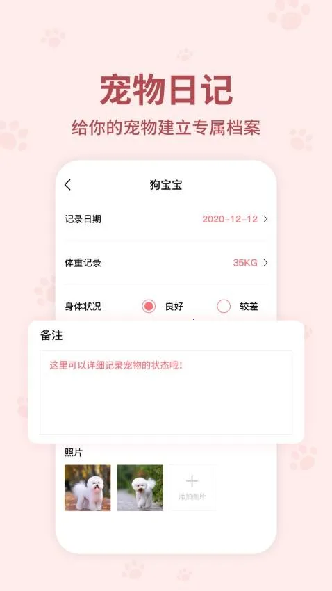 ���﷭����ȫ������v6.2.369 ��׿���ͼ4