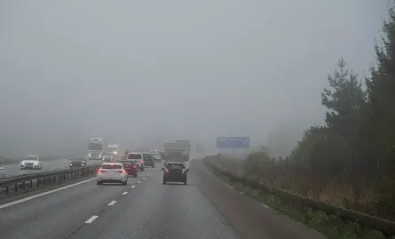 ��ҫ����2026���°汾