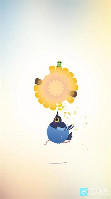 疯狂的鸽子 疯狂的鸽子