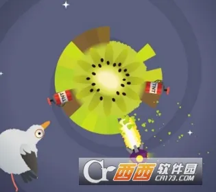 疯狂的鸽子 疯狂的鸽子