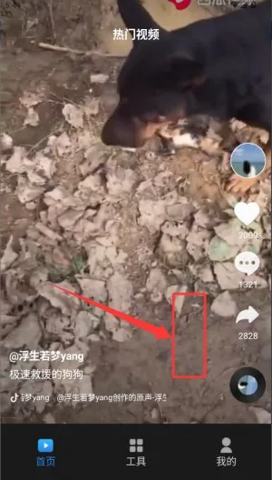 ������Ƶ���ٰ�