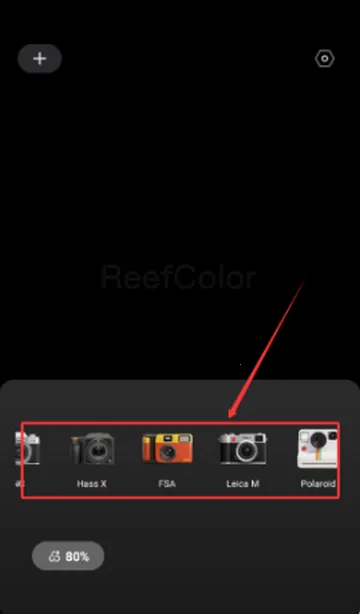 �ʽ������������