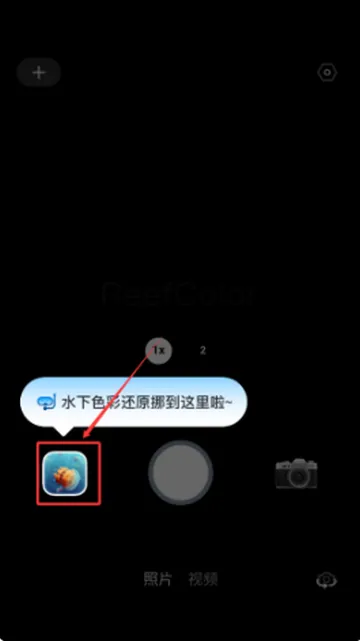 �ʽ������������