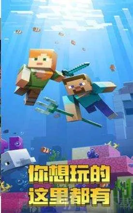 �������纣��汾���ʷ�����