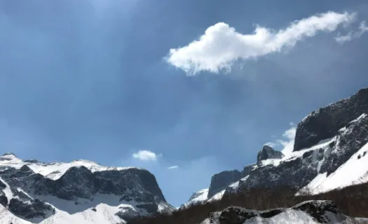 B12��������ֻ���