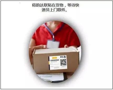 ���������Ա����