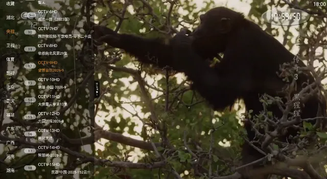 ���TV����ֱ��2026���ذ�װv1.0.5 ��׿���ͼ4