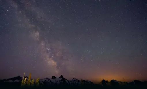 tampermonkey���