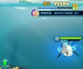 ��������ذ�װ