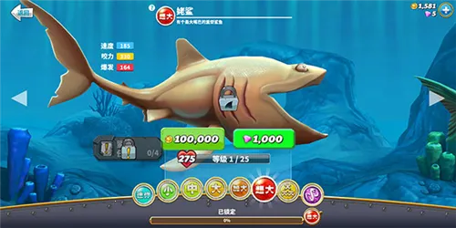 �����������ƽ��������ʯ�����������