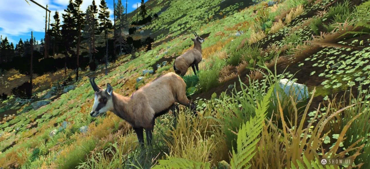 ����֮·��Ұŷ��v1.0.11 ��Ѱ��ͼ2