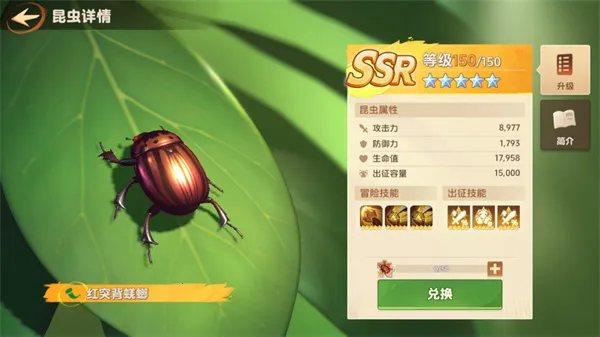 СС�Ҵ�����Ϸ