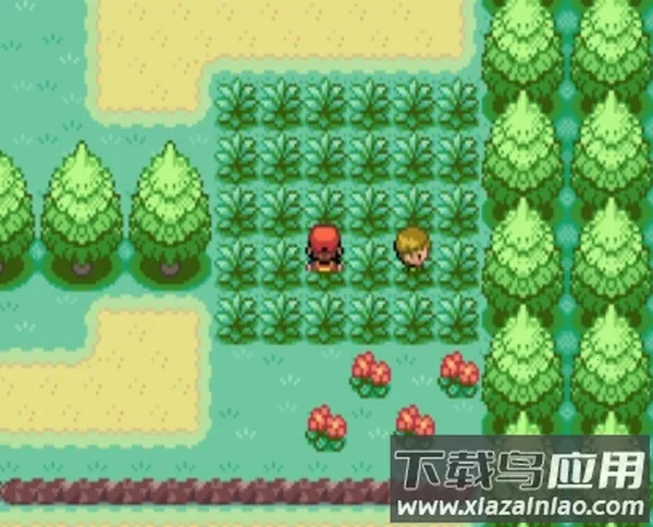 口袋妖怪绿叶 口袋妖怪绿叶