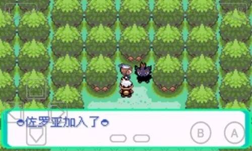 �ڴ�������ڵ���Ӱex bw���ް�׿���ֻ���v5.0 ��Ѱ��ͼ2