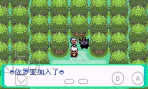 �ڴ�������ڵ���Ӱex bw���ް�׿���ֻ���