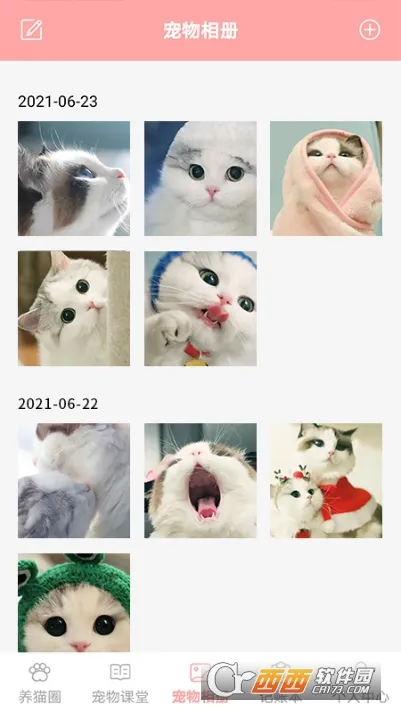 �����ҵ�è���عٷ�v1.4 ��Ѱ��ͼ0