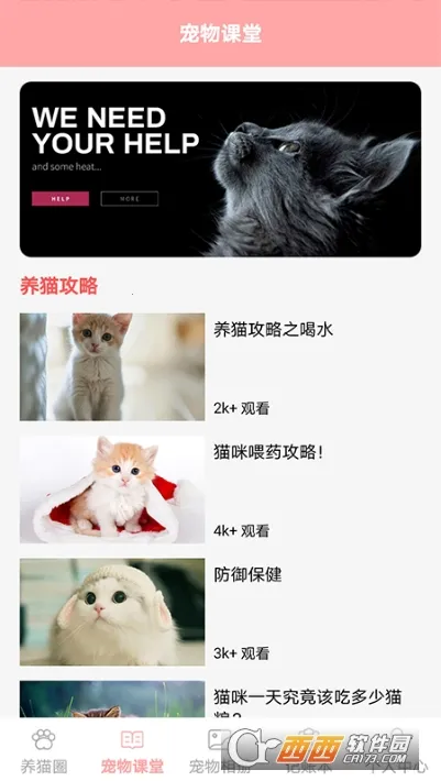 �����ҵ�è�������°�