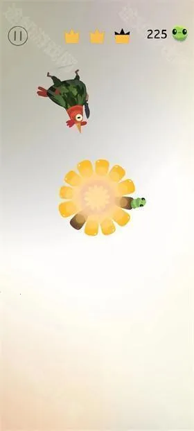 疯狂鸽子 疯狂鸽子