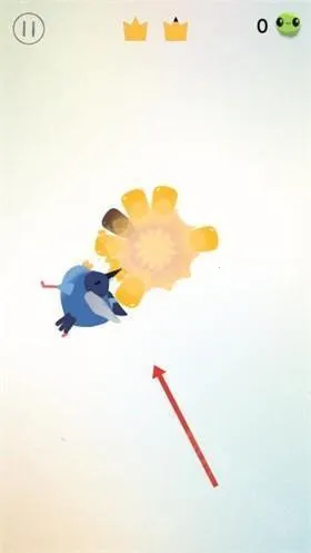 疯狂鸽子 疯狂鸽子