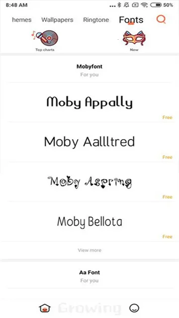小米主题商店破解版v2.9.2.7-global 免费版截图4