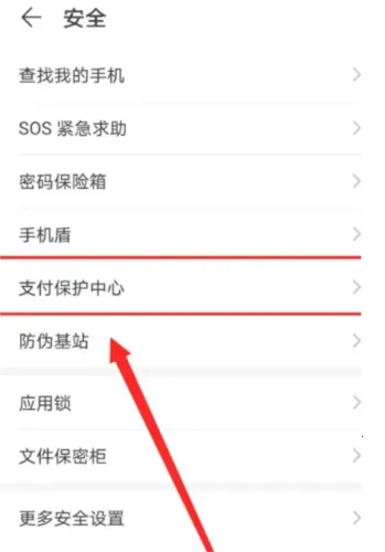 �ڴ������(�������������)