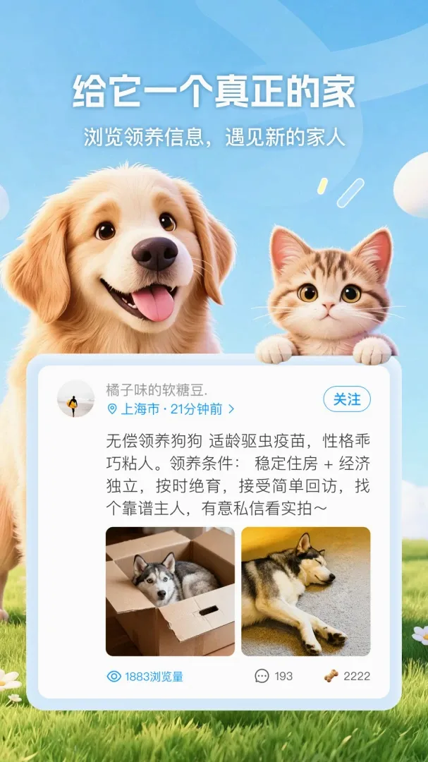 ����(�������APP)