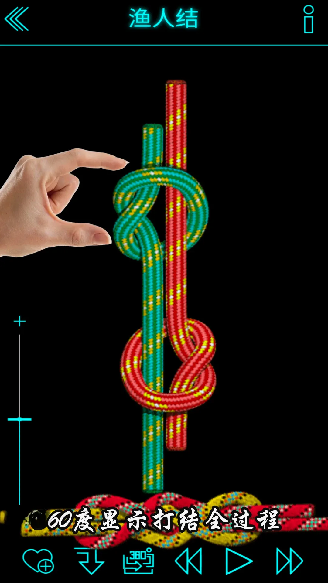 绳结模拟助手3D(3d绳结模拟器)v3.0.1 免费版截图3