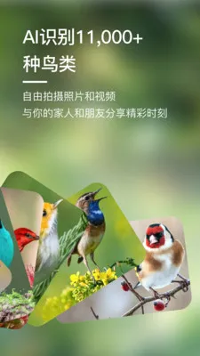 Bird Lover(����۲⹤��)