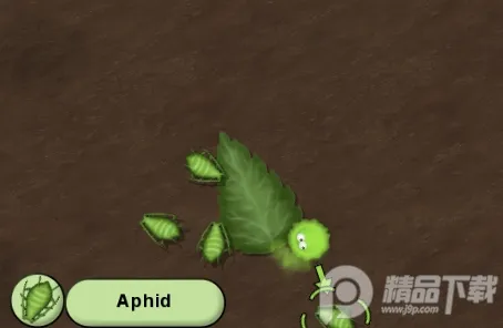 ��ζ��������������ֻ���