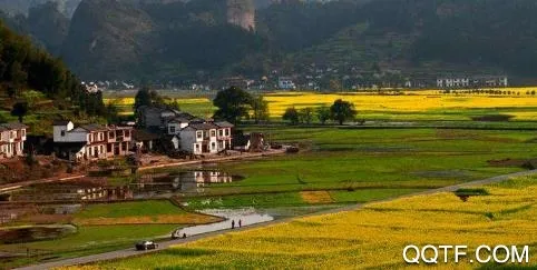 ������(������Ѷ�����)