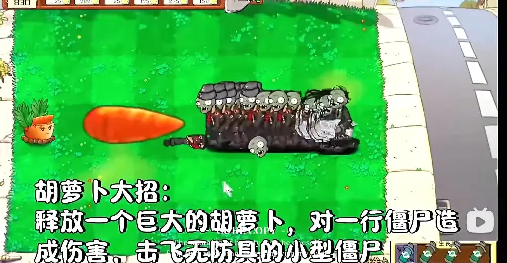 ֲ���ս��ʬ��ս�氲׿���ֻ���